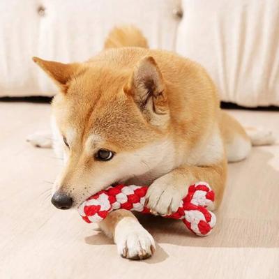 Bones Shape Dog Toys for Small Large Dogs Bite Resistant Teething Cleaning Chew Toy Cotton Pet Puppy Molar Toys Pets Products