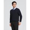YOUNGOR Men's V-Neck Washable Wool Sweater