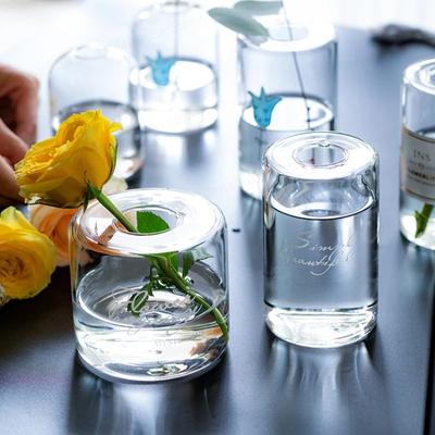Ny Minimalistisk Tryckt Liten Hål Glas Blomma Vas Transparent Hydroponisk Hydroponisk Blomsterarrangemang Hantverk Dekoration