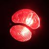 Ranzek 'STOP' Tail Light 12V Iron Rear Lamp Brake Taillight