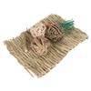 Hamster Chew Toy Set Hand Woven Teeth Grinding Toxic Free Pet Grass Mat Ball Toys for Guinea Pig Rabbit Parrot