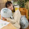 Soft Plush Seal Pillow - Sea World Aquarium Toy Gift