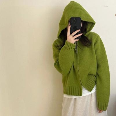Zipper Hooded Thickened Cardigan Autumn and Winter New Korean Style Loose Top Solid Color Sweater Lady