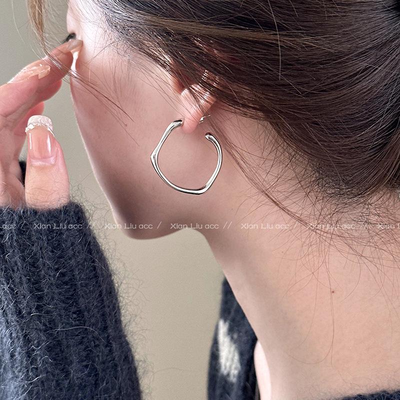 2025 High-End Light Luxury Metal Hoop Earrings - Unique Feminine Style