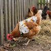 Farm Equipment Elastic Chicken Saddle Waterproof Adjustable Hen Apron Feather Protector Soft Poultry Apron Pet Clothes
