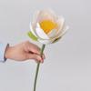 Lifelike Simulated Lotus EVA Decorative Fake Flower Fake Lotus Seedpod  Pastoral Decorative