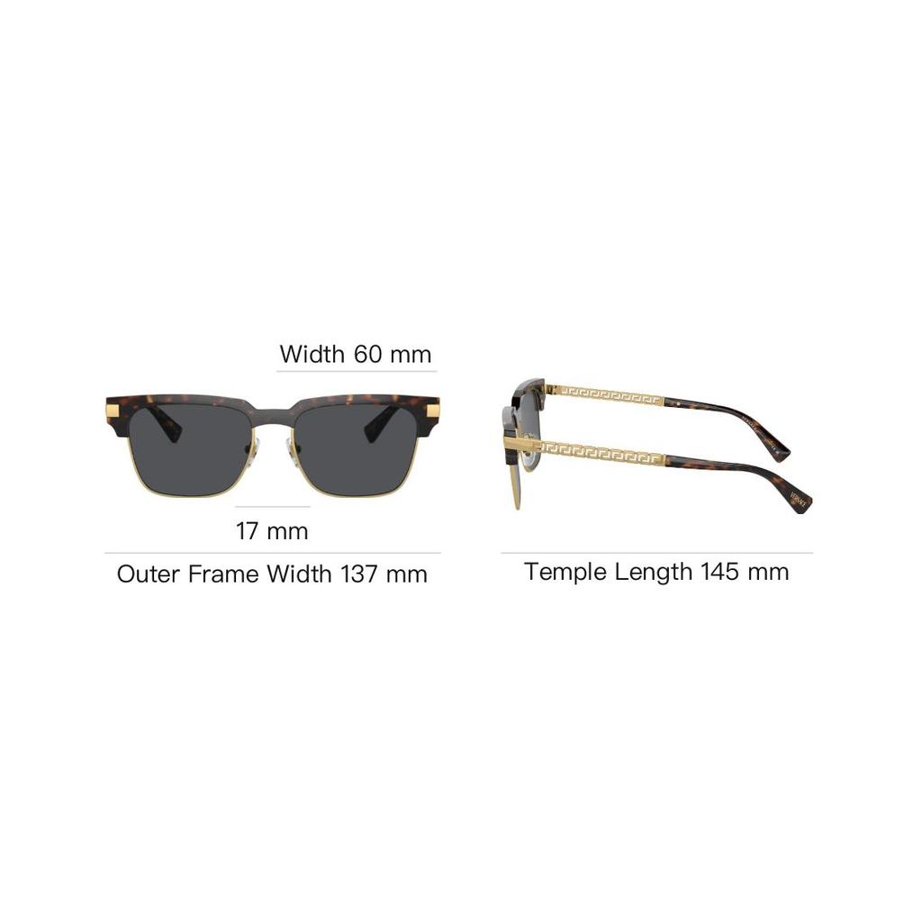 Versace Mirror Leg Decoration Nylon Injected Irregular Shape Sunglasses Men Sunglasses Tortoiseshell O4447-O1088755