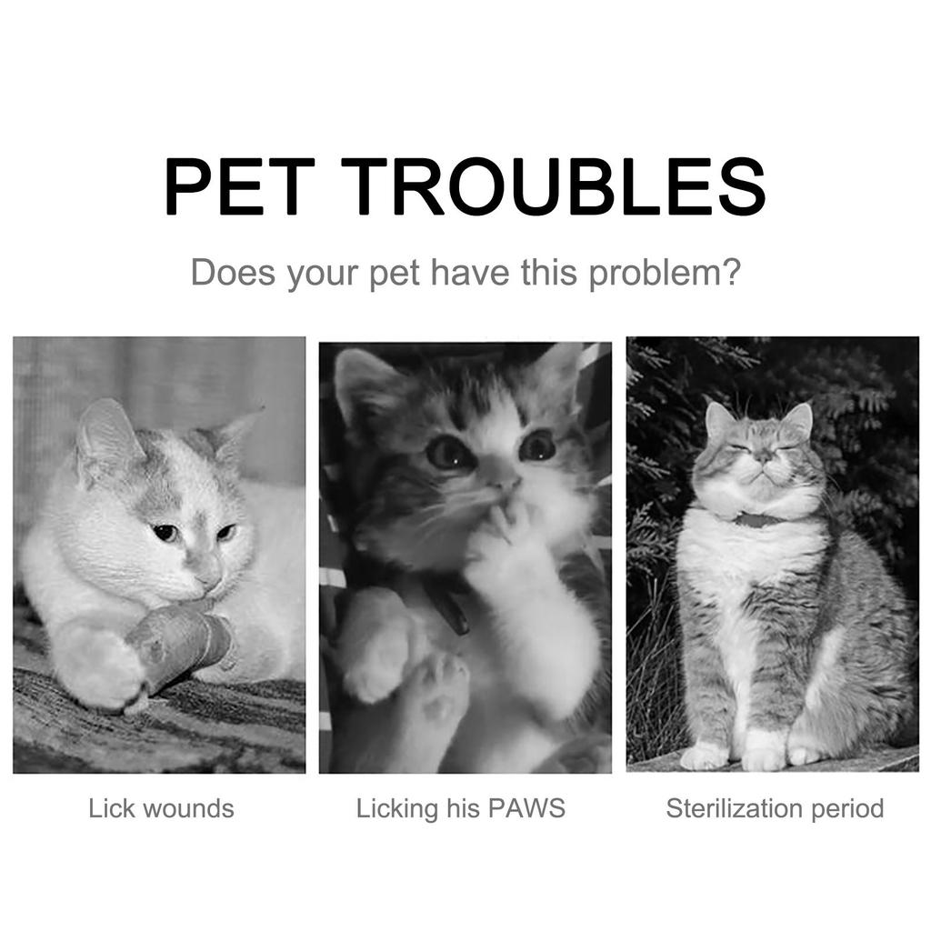 Sun Flower Elizabeth Ring Cat Lick  Collar Pet Supplies Dog Neck Cover Cat Head