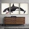 Marine Animals Canvas Paintings Great White Shark Posters and Prints Killer Whale Wall Art Picture for Home Decoration No Frame