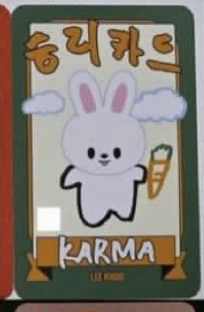 [USED] Stray Kids FANS Rakidro Real Touch Reno