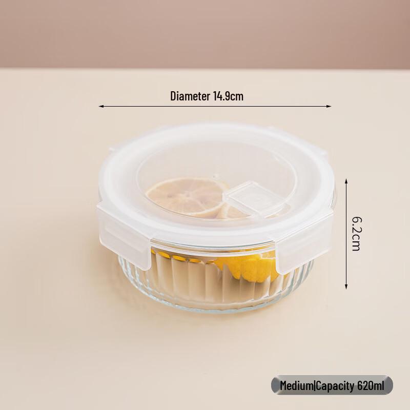 ZISIZ Glass Lunch Box