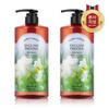 Floral Garden Body Wash 950g Freesia 2 Pieces
