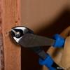 JEFCOM Densan Nippers KLJ2000-28 Heavy-Duty (Journeyman)