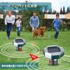 Set of 4 Ultrasonic Animal Pest 10m Detection Long Standby IP68 Waterproof and Powerful LED Infrared and Bird Pest Suitable for Parking and Orchards