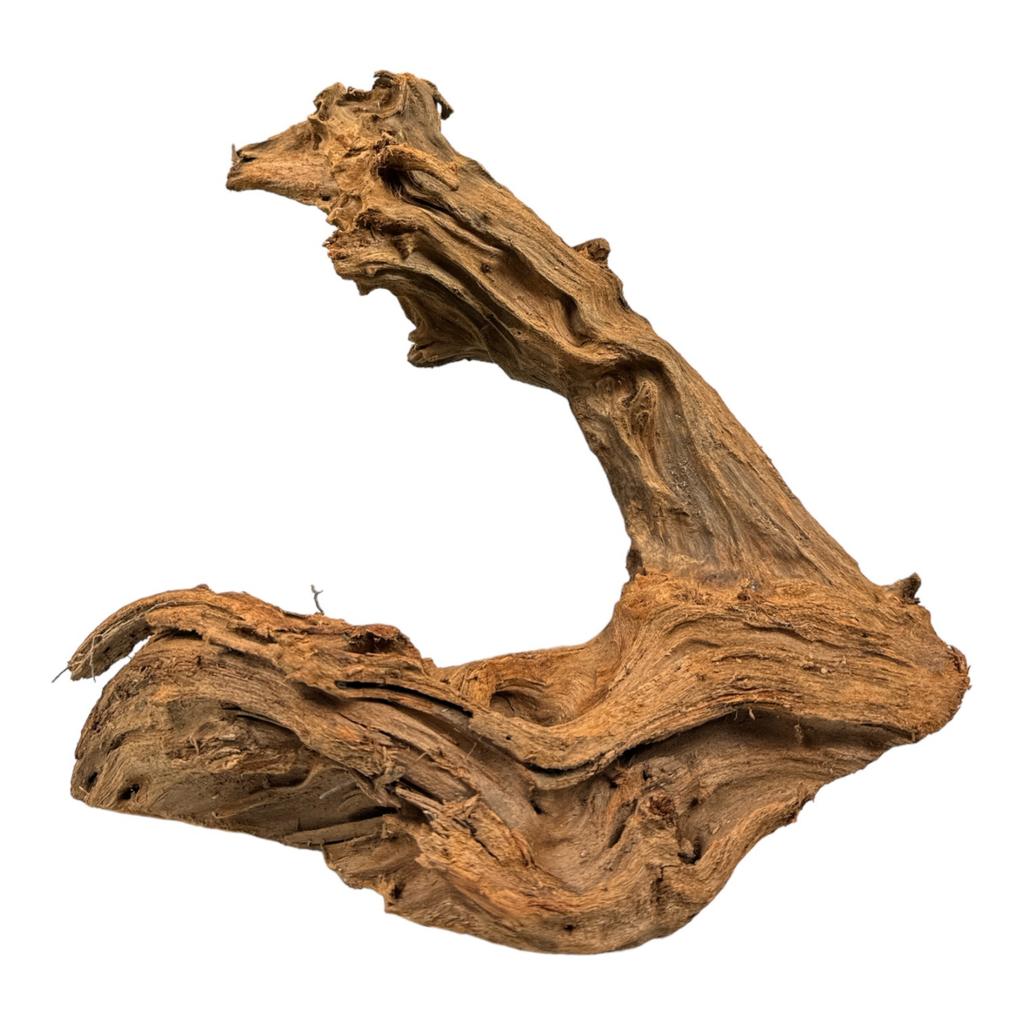 BioRoot Mangrove M / 20-35cm / Mangrove root for terrarium and aquarium