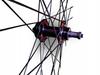 Bicycle Wheel Wtb Sx19 29" Etrto 19-622 Disc 6 Bolt Freewheel Qr 9X135Mm