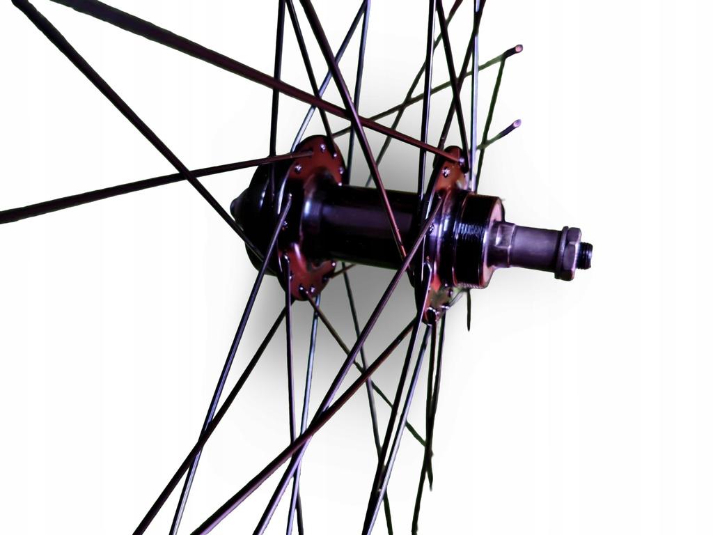 Bicycle Wheel Wtb Sx19 29" Etrto 19-622 Disc 6 Bolt Freewheel Qr 9X135Mm