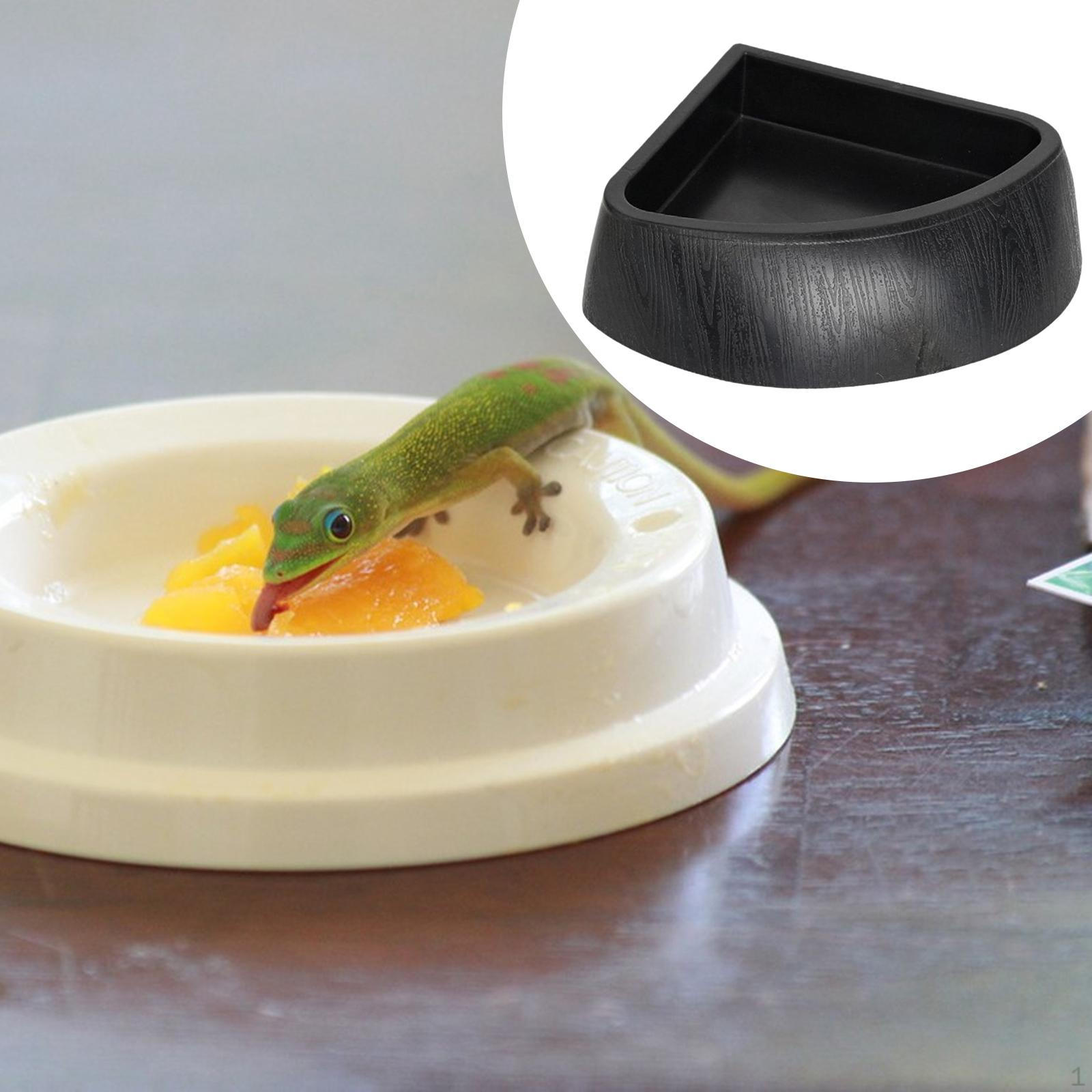 

Compact And Easy-tWater Food Bowl for Reptiles, Ideal Turtles, Bearded Dragons, Snakes. black