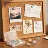 Metal Plastic Construction Decorative Push Pins Multicolor Box Packed Thumbtacks  Office Decoration