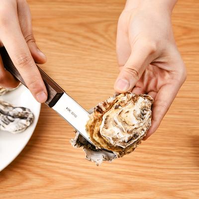 Japanese 304 Stainless Steel Oyster Knife with Scallop Opener, Used for Seafood Shells, Can Directly Open Oysters