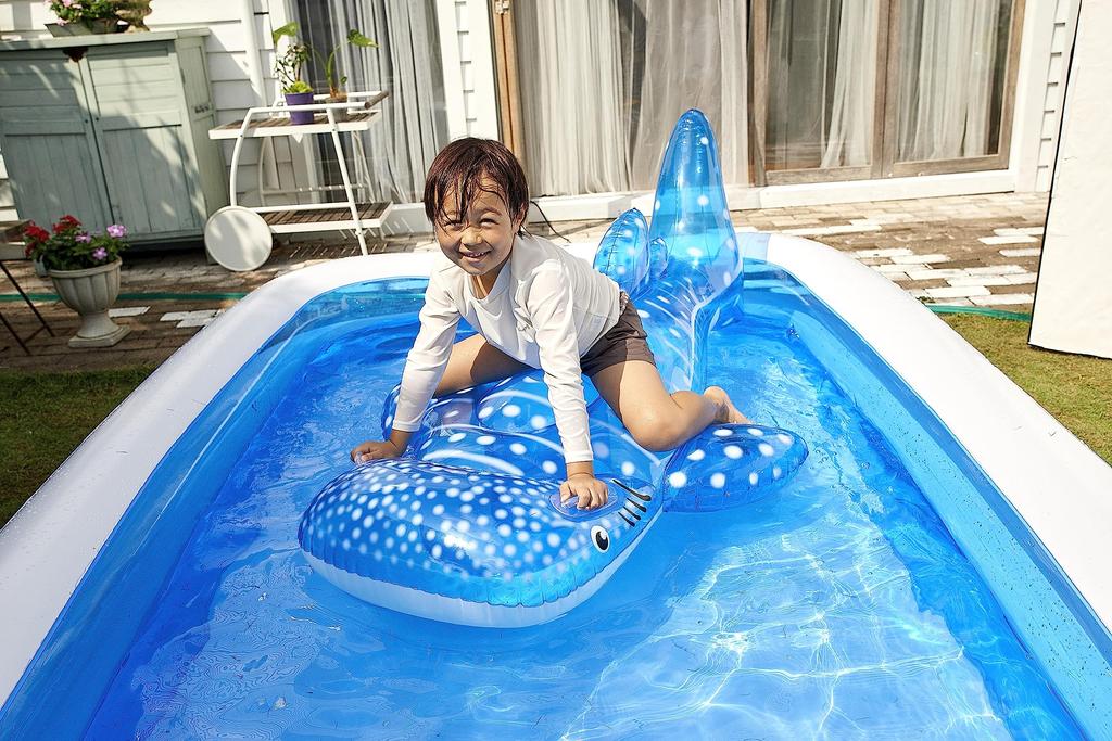 Igarashi Big Whale Shark Float, 181 x 112cm, FRB-177V