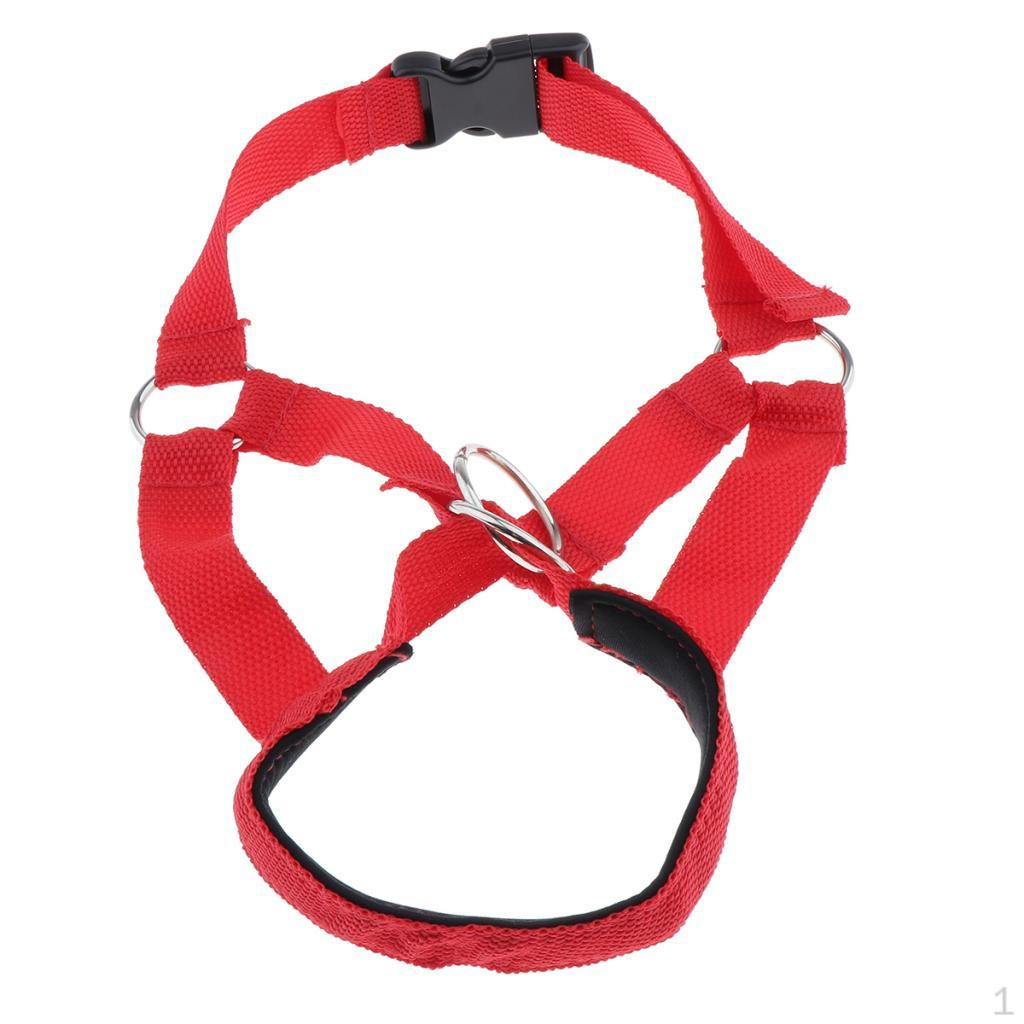 Adjustable Muzzle for Dogs L