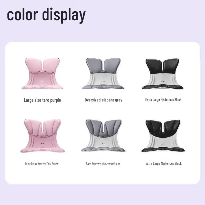 BKT Ergonomic Lumbar Support Posture Seat CN plug (adapter included)