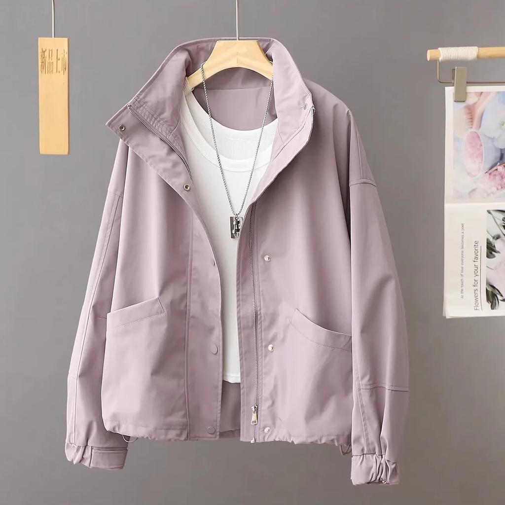 Autumn Coat Korean Women's New Loose Casual Fashion Temperament Design Stand Collar Short Jacket Top