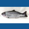 Elektrischer Fisch-Teaser Katzenspielzeug Realistischer Fisch Springender Fisch USB Springender Fisch Katzenspielzeug