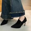 Pointed High Heels for Women's 2025 Spring and Autumn New Retro Thick Heel Sleeve Single Shoe Suede Fashion Female's Shoes Pumps