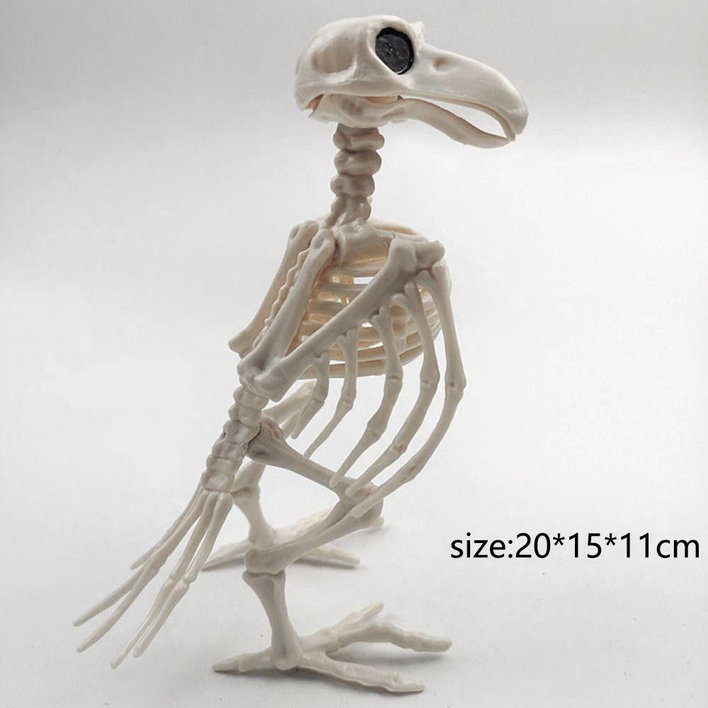 Halloween Prop Plastic Halloween Decoration Skeleton Raven Animal Skeleton Bones Crow Skeleton