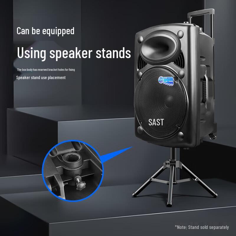 SAST 18-inch Portable Bluetooth Trolley Speaker with Microphone CN Plug (adapter Included) (CN Version)