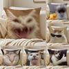 Meme Chat Animal Mignon Drôle Memes Drôles Housse de Coussin Taie d'oreiller Anti-acariens Fermeture Éclair Invisible Peluche Courte Coussin de Canapé