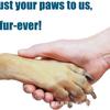 Wooden Pet Cat and Dog Nail Scraper Solid Wood Pet File Board Convenient Round Cat Nail Repair Board
