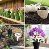 200Pcs Plant Labels T-Shape, 4 Inch Potted Plant Name Tags Plastic, Seedlings Seed Markers Nursery Plant Stake Tag With Marking Pen For Outdoor