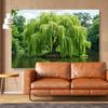 2D Green Nature Pond Backdrop Photography Background Banner