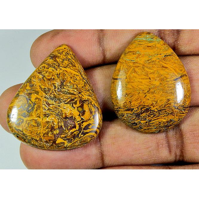 

79Cts. Natural Marium Fossil Pear Cabochon Loose Gemstone 2 Pcs Lot PP-258