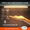 LED Human Body Induction Light Strip Magnetic Light Wardrobe Wine Cabinet Usb Induction Night Light Light Luxury Long Strip Charging Cabinet Light