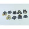 Natural Picasso Jasper Matched Pair Fancy Cabachon Loose Gemstone 09Pair Lot C-2740