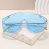 European American Style Women Sunglasses Fashion Trendy Big Size UV Protection Outdoor Activity Sun Glass