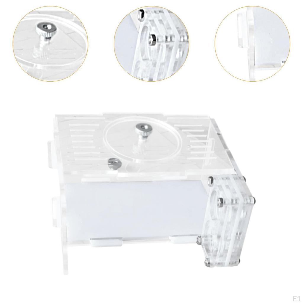 DIY Ameisenfarm Fabrik Ameisenhügel Emmet Transparent Kolonie Lernspielzeug für Wissenschaftliche