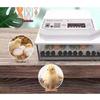 COKRSUPE 152-Egg Fully Automatic Poultry Incubator