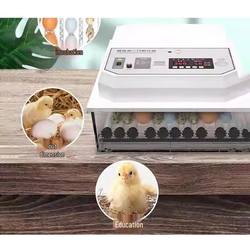 COKRSUPE 152-Egg Fully Automatic Poultry Incubator
