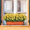 36cm Silk Flower Wedding Bouquets Fake Flower Decorative Flower Artificial Begonia Flower  Bridal
