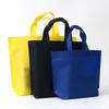 Winstan WST880 Reusable Non-woven Shopping Bags (10-Pack)