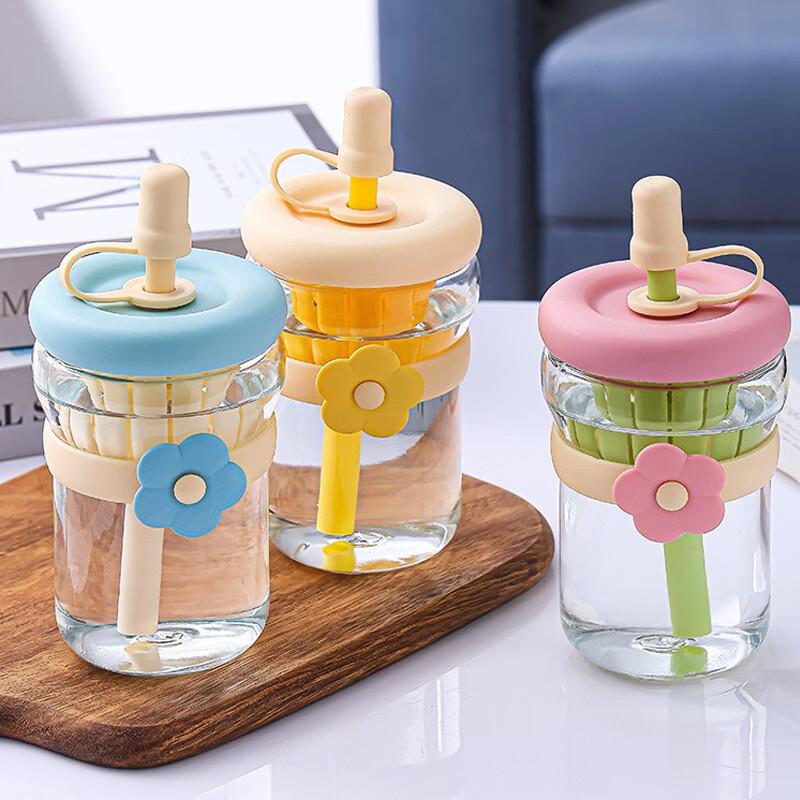 Cute Floral 500ml Glass Straw Bottle with Infuser