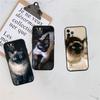 PP22 Cute Siamese Cat Soft Shell Phone Case for Xiaomi Xiaomi Poco M4 M5 M6 M7 X3 X6 X7 F8 Ultra Pro GT NFC