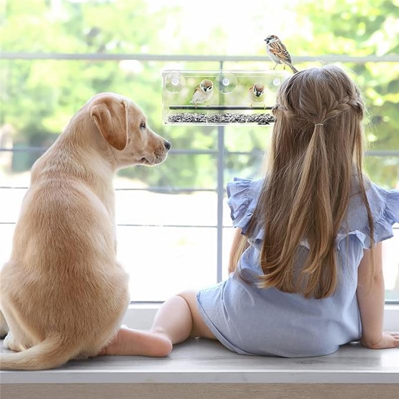 M-Modern-Window Bird Feeder, Wild Bird Feeder, Transparent Window Bird Feeder, Exquisite Bird Watching Gift
