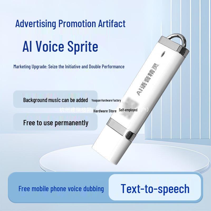 Voice Changer USB for Speaker and Sound System Loop Playback