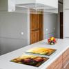 2x GLASS PROTECTIVE PLATE FOR STOVE 40x52 FRUIT